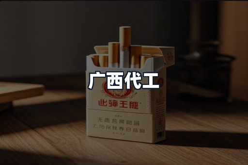 广西代工